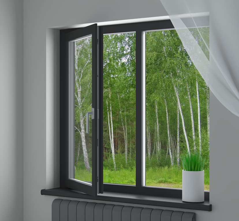 Aluna+ Window